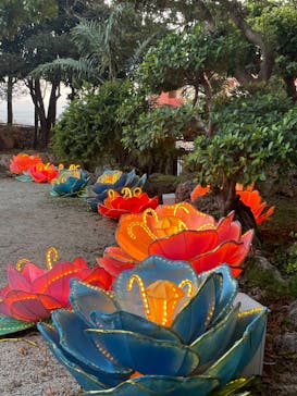 体験王国 むら咲むらに投稿された画像（2024/3/10）