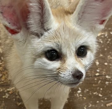 アニタッチみなとみらいに投稿された画像（2024/3/10）