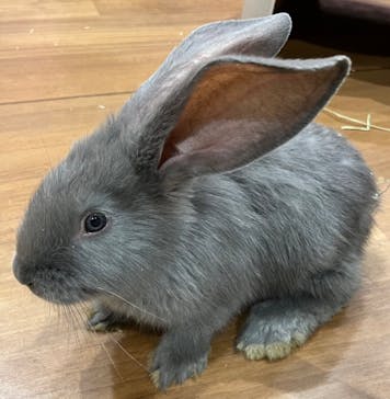 アニタッチみなとみらいに投稿された画像（2024/3/10）