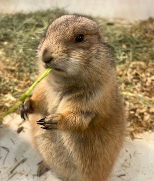 アニタッチみなとみらいに投稿された画像（2024/3/10）