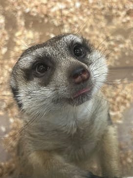 アニタッチみなとみらいに投稿された画像（2024/3/10）