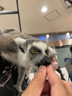 アニタッチみなとみらいに投稿された画像（2024/3/10）