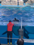 名古屋港水族館に投稿された画像（2024/3/10）
