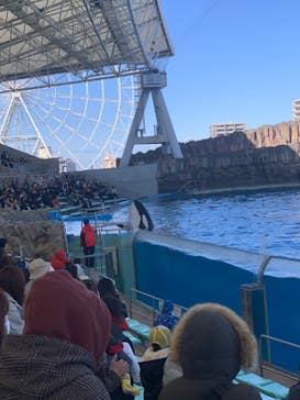 名古屋港水族館に投稿された画像（2024/3/10）