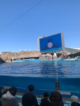 名古屋港水族館に投稿された画像（2024/3/10）