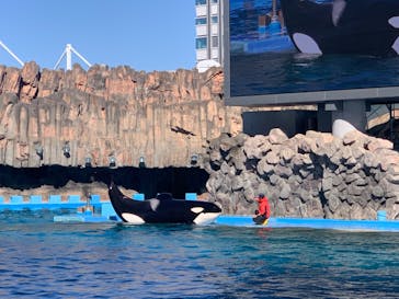 名古屋港水族館に投稿された画像（2024/3/10）