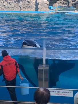 名古屋港水族館に投稿された画像（2024/3/10）