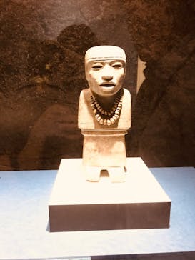 特別展「古代メキシコ ーマヤ、アステカ、テオティワカン」に投稿された画像（2024/3/10）