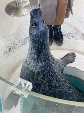 しながわ水族館に投稿された画像（2024/3/10）