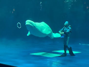 島根県立 しまね海洋館に投稿された画像（2024/3/10）