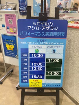 島根県立 しまね海洋館に投稿された画像（2024/3/10）