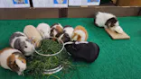 天王寺動物園に投稿された画像（2024/3/10）