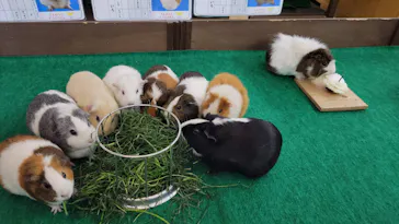 天王寺動物園に投稿された画像（2024/3/10）