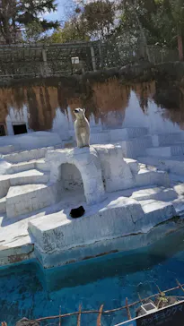 天王寺動物園に投稿された画像（2024/3/10）