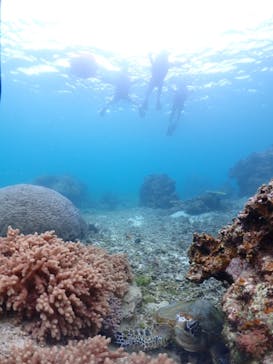 宮古島マリン GB QUESTに投稿された画像（2024/3/10）