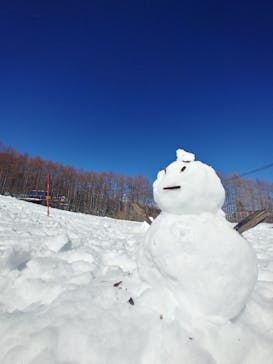信州開田高原マイアスキー場に投稿された画像（2024/3/10）