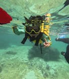 オースリーシュノーケル宮古島に投稿された画像（2024/3/11）