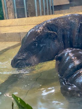 NIFREL（ニフレル）に投稿された画像（2024/3/10）