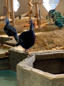 NIFREL（ニフレル）に投稿された画像（2024/3/10）