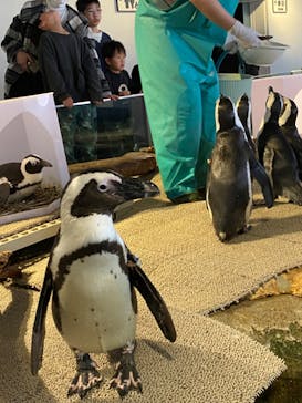 NIFREL（ニフレル）に投稿された画像（2024/3/10）