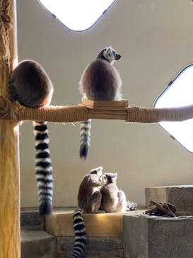 NIFREL（ニフレル）に投稿された画像（2024/3/10）