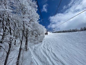 スキージャム勝山に投稿された画像（2024/3/10）