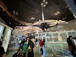 国立科学博物館に投稿された画像（2024/3/11）