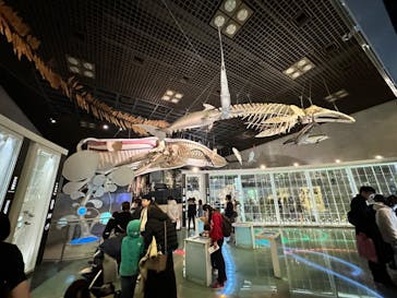 国立科学博物館に投稿された画像（2024/3/10）