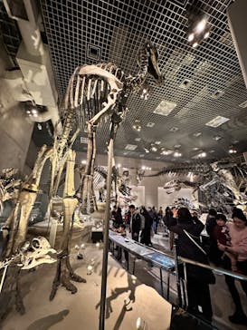 国立科学博物館に投稿された画像（2024/3/10）