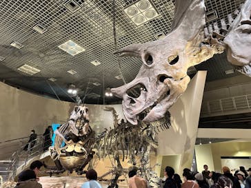 国立科学博物館に投稿された画像（2024/3/10）