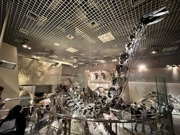 国立科学博物館に投稿された画像（2024/3/10）