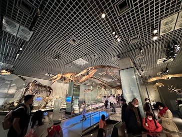 国立科学博物館に投稿された画像（2024/3/10）