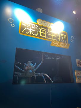 サンシャイン水族館に投稿された画像（2024/3/10）