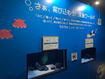 サンシャイン水族館に投稿された画像（2024/3/10）