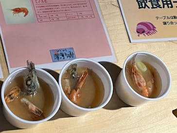 サンシャイン水族館に投稿された画像（2024/3/10）