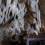 おきなわワールドに投稿された画像（2024/3/11）