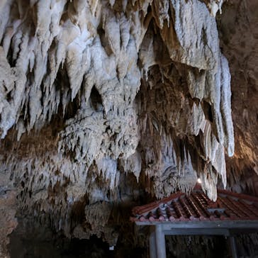 おきなわワールドに投稿された画像（2024/3/11）