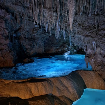 おきなわワールドに投稿された画像（2024/3/11）