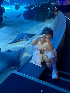 サンシャイン水族館に投稿された画像（2024/3/11）