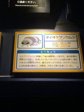 サンシャイン水族館に投稿された画像（2024/3/11）