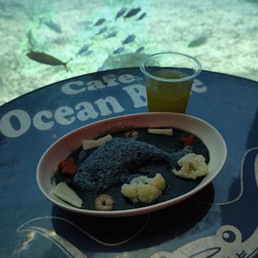 沖縄美ら海水族館に投稿された画像（2024/3/11）