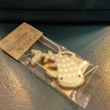 沖縄美ら海水族館に投稿された画像（2024/3/11）