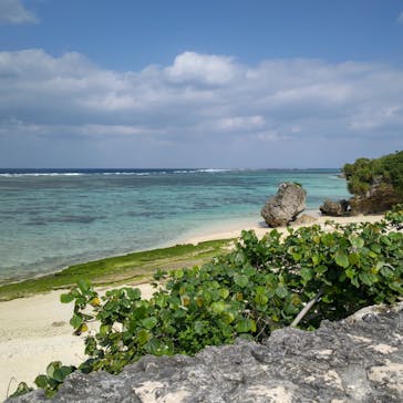 沖縄美ら海水族館に投稿された画像（2024/3/11）