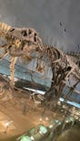 福井県立恐竜博物館に投稿された画像（2024/3/11）
