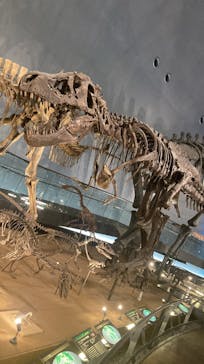 福井県立恐竜博物館に投稿された画像（2024/3/11）