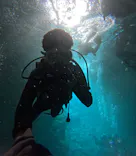 沖縄マリンサービス碧に投稿された画像（2024/3/11）