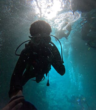 沖縄マリンサービス碧に投稿された画像（2024/3/11）