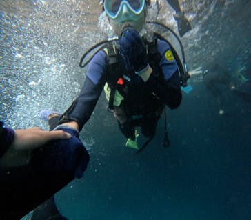 沖縄マリンサービス碧に投稿された画像（2024/3/11）