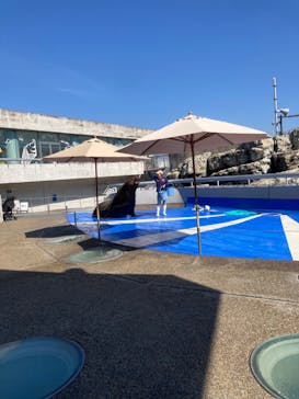 大分マリーンパレス水族館 「うみたまご」に投稿された画像（2024/3/11）