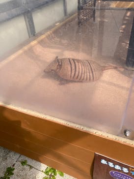 大分マリーンパレス水族館 「うみたまご」に投稿された画像（2024/3/11）